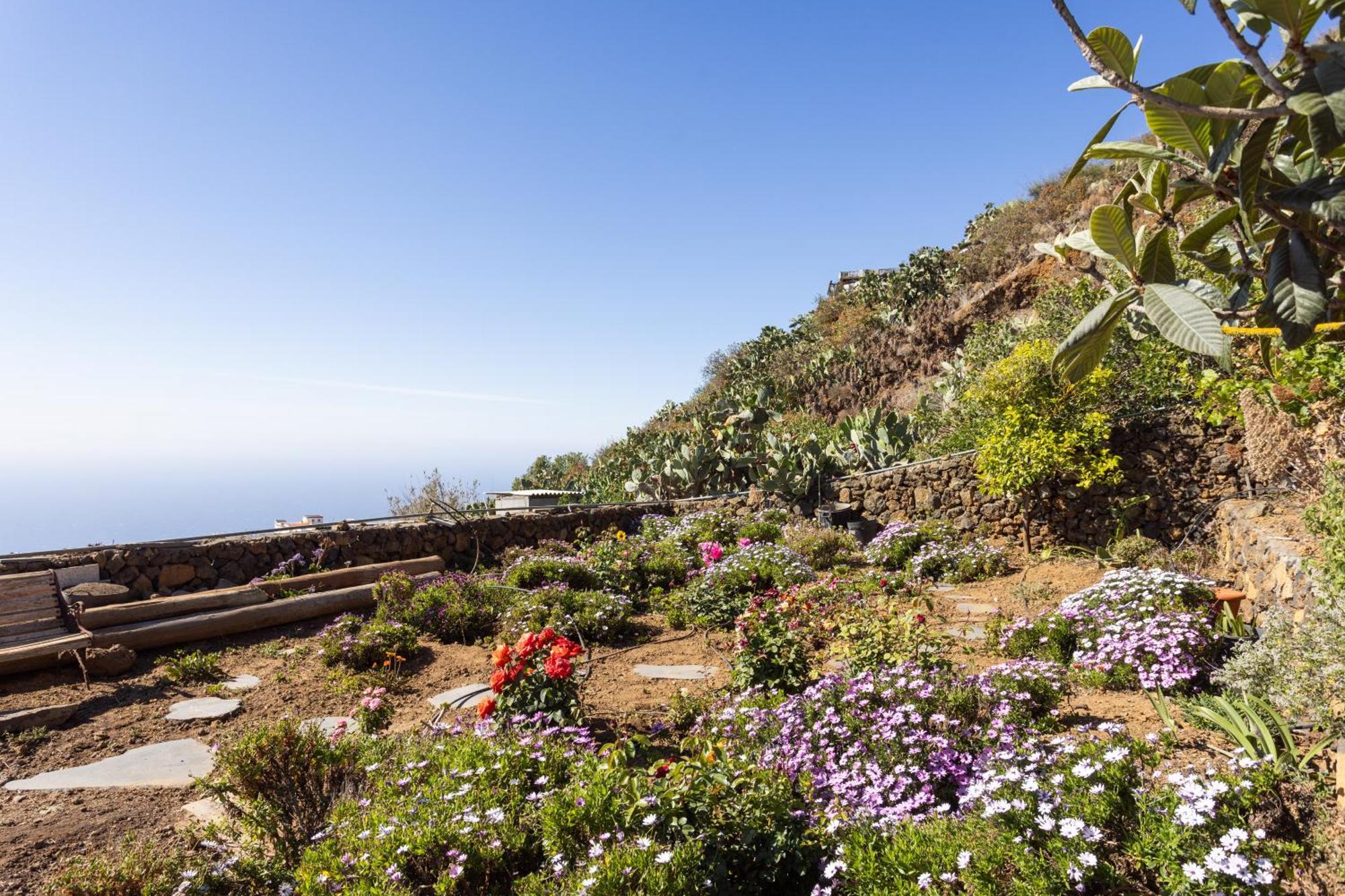 Hébergement de vacances Cozy Rustic House & Terrace, El Pinar