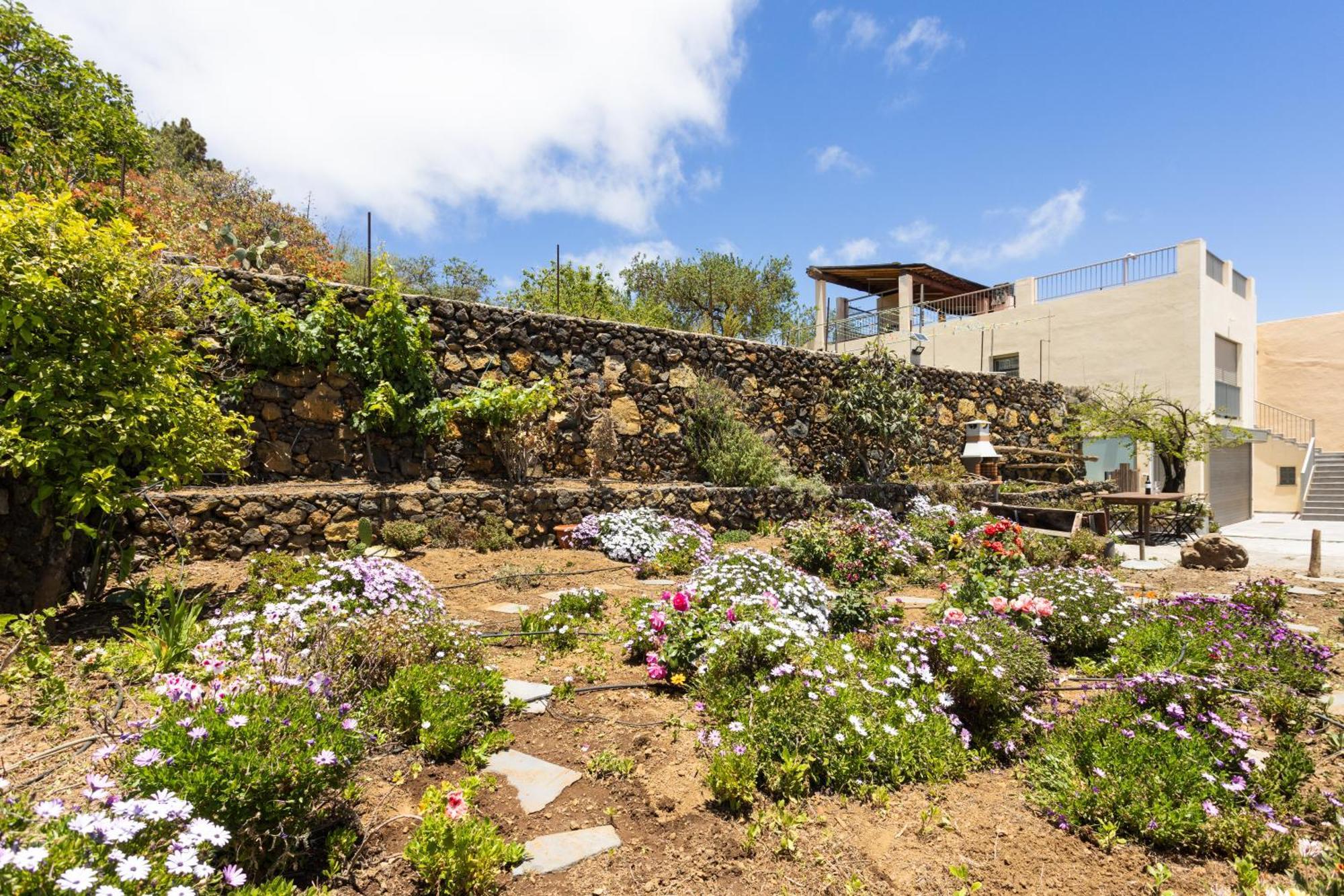 Cozy Rustic House & Terrace, El Pinar Holiday home